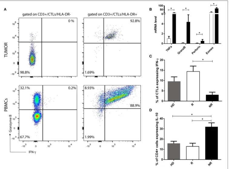 FIGURE 5 | HLA-DR in CTLs reflects their activation and functional status. (A) Representation of a flow cytometry analysis of Granzyme B and IFN-γ expression in HLA-DR+ CTLs and in HLA-DR negative CTLs from pre-treatment tumor samples and from PBMCs isolat