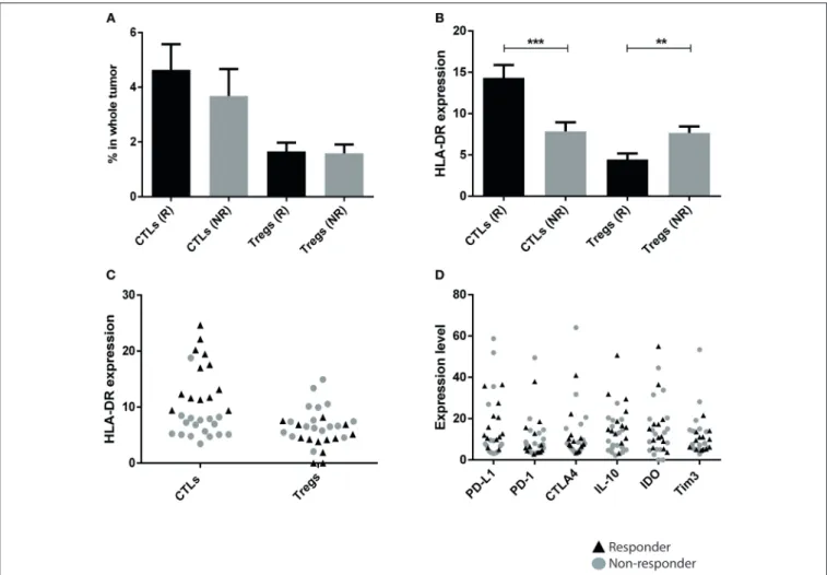 FIGURE 2 | HLA-DR level in CTLs is a predictive factor of patients’ response to neoadjuvant chemotherapy (NACT)