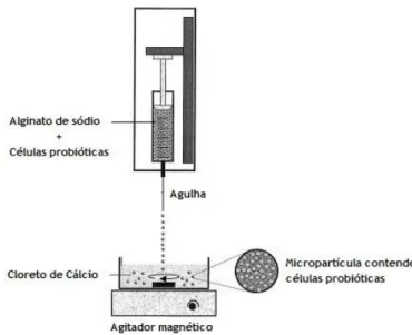 Figura 20 - Representação da técnica de extrusão/gelificação ionotrópica (adaptado) (48) 