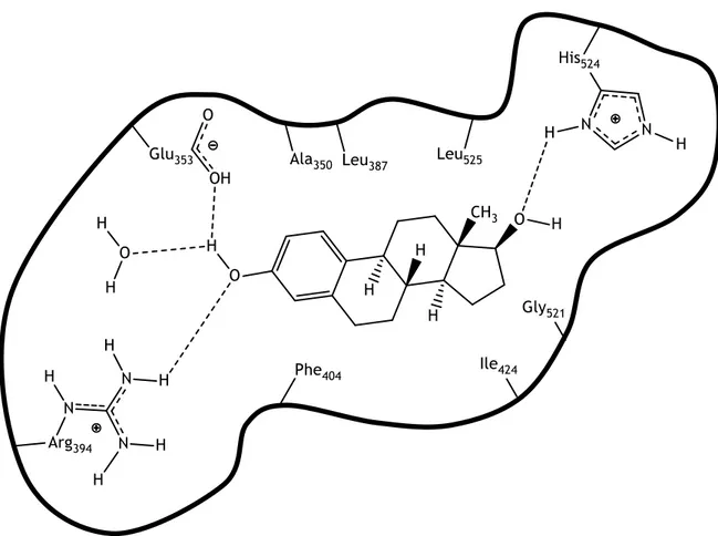 Figura 5: Interações entre a 16-desidropregnenolona 7 e o RE no sítio ativo.  Linhas preto – Interações por PH; 