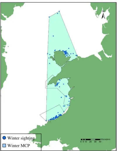 Figure  11  –  MCP  of  the  winter  sightings.  Each  dot  corresponds  to  a  single  dolphin  sighting  that  has  occurred between November 1 st  and March 31 st 