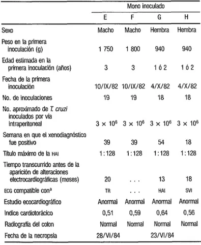 CUADRO  4.  Resumen de los resultados de las pruebas efectuadas en los cuatro  monos Cebus apella jóvenes inoculados con la cepa colombiana de T cruzi 
