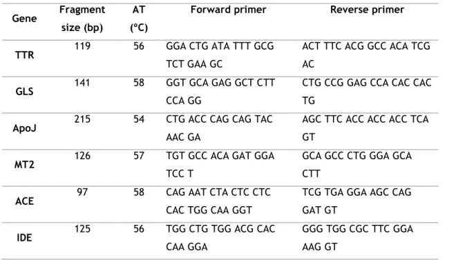 Table 3 - Sequence of primers and its size 
