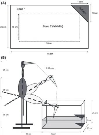 Figure 1. Setup of experimental arena for behavioral trials showing (A) an overhead view with tank dimensions, and (B) the position and dimensions of the decoy heron used to simulate an avian predation event