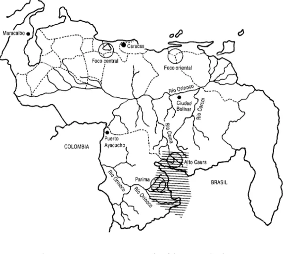 FIGURA 2.  Venezuela. Focos oncocercósicos central, oriental, del Territorio Federal Amazonas y del Alto Caura