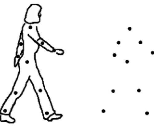 Figure 2.4: Representation of biologic motion by light points positioned at the joints of the person