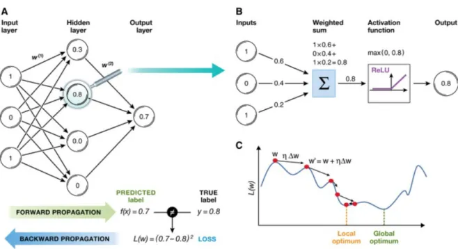 Figure 2.7: Representation of an artificial neural network, adapted from Angermueller et al.