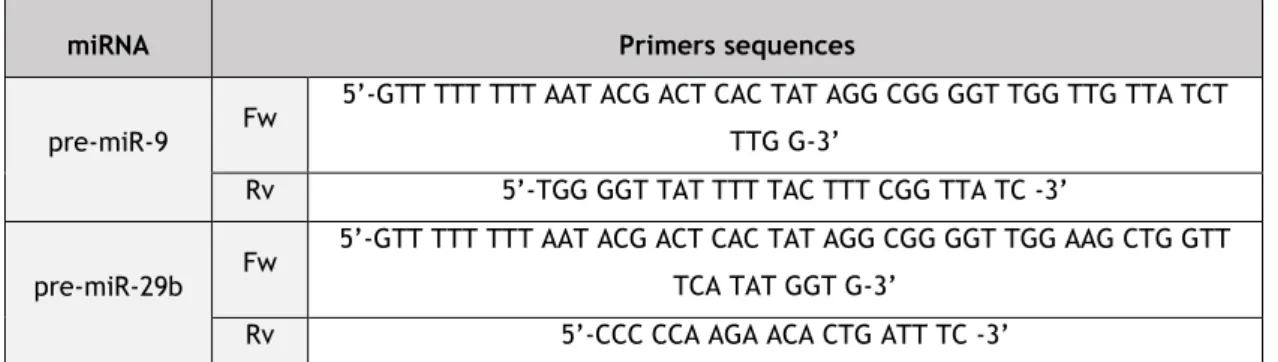 Table 3. Pre-miR-9 and pre-miR-29b primers sequences used in the PCR reaction. 