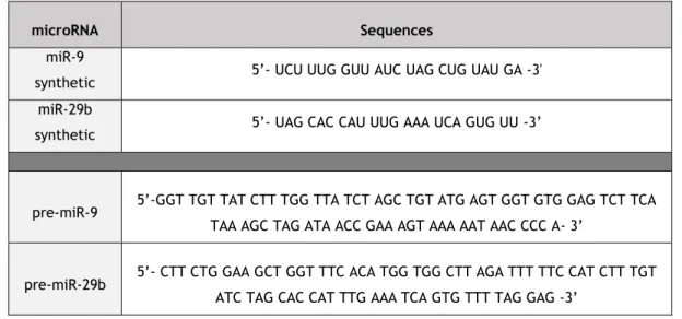 Table 4. Sequences for  miRNAs (miR-9,  miR-29b, pre-miR-9 and pre-miR-29b) used in the  in vitro  assays