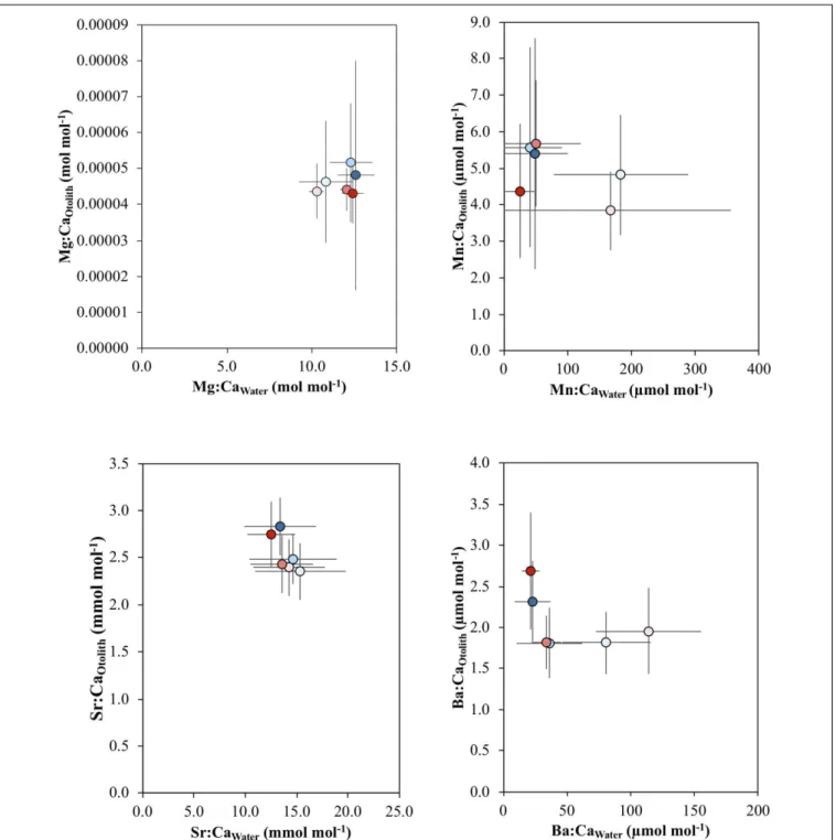 FIGURE 4 | Mean and standard error of the relationship between Mg:Ca Otolith and Mg:Ca Water , Mn:Ca Otolith and Mn:Ca Water , Sr:Ca Otolith and Sr:Ca Water , and Ba:Ca Otolith and Ba:Ca Water across the salinity (5, 18, 30) and temperature (16 and 21 ◦ C)