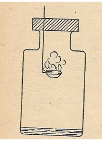 Figura 1: Combustão do enxofre 