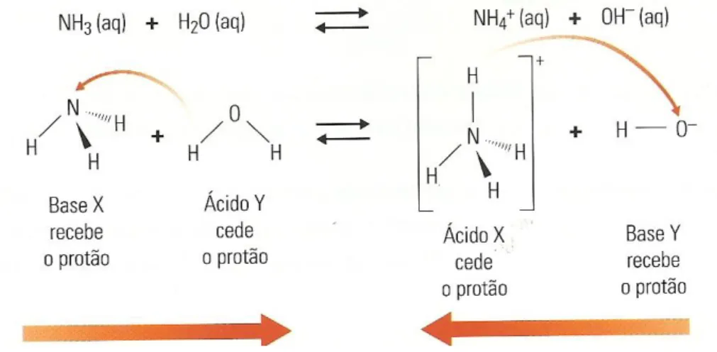 Figura 4: Reacção do amoníaco com a água 