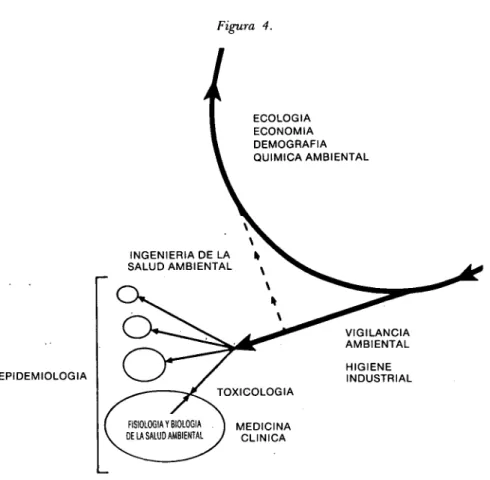 Figura 4.  ECOLOGIA  ECONOMIA  DEMOGRAFIA  QUÍMICA AMBIENTAL  EPIDEMIOLOGIA  HIGIENE  INDUSTRIAL  MEDICINA  CLINICA 