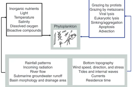 Figure 1  Schematic representation of the environmental variables and processes influencing phytoplankton growth rates and loss rates in estuarine and  nearshore coastal ecosystems
