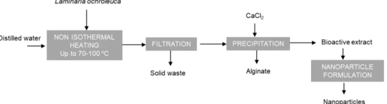 Figure 1. Simplified flow diagram of the aqueous process defined to obtain alginate and bioactive extract to formulate nanoparticles.