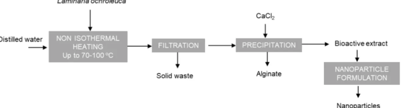 Figure 1. Simplified flow diagram of the aqueous process defined to obtain alginate and bioactive extract to formulate nanoparticles.