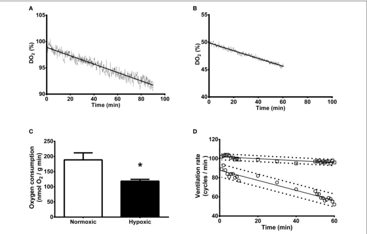 FIGURE 1 | Whole animal rate of oxygen consumption and ventilation of Sepia officinalis under either normoxic or hypoxic (50% dissolved oxygen saturation, 1 h) conditions