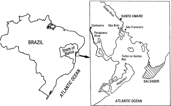 Figure  1.  A  map  of  Brazil  showing  the  state  of  Bahia  and  the  location  of  Santo  Amaro