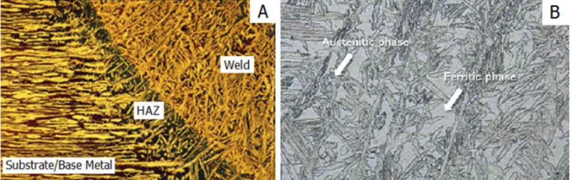 Figure 3.7 – Representation of A-the transition between the weld/deposited material and the substrate/base metal  (adapted from Nilsson, 2016) and B –“the duplex stainless steel weld metal” (Kobelco) 