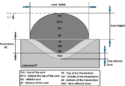 Figure 4.1 – Description of the diminutive and names used in this analysis 