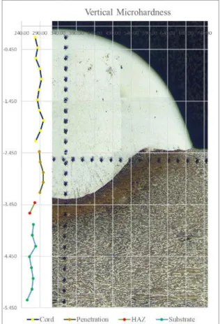 Figure 4.7 – Vertical microhardness reference image 