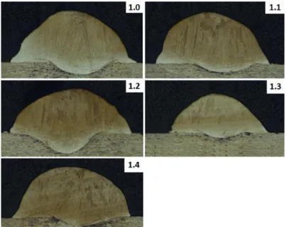 Figure 5.2 – Image of all the Laws Experiment cords’ deposition 