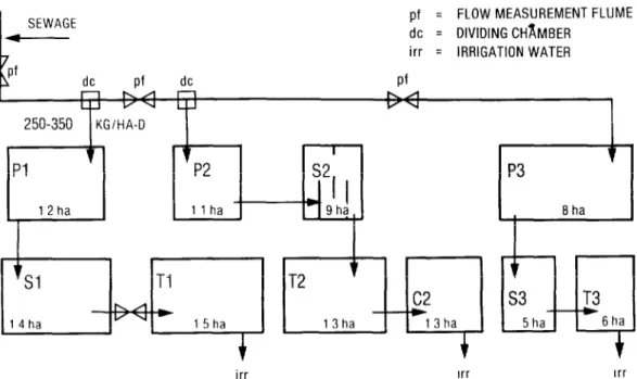 Figure  2.  Arrangement  of  the  San  Juan  stabilization  ponds  during  Phase  II,  the  sanitary  evaluation  (pathogen  survival)  phase