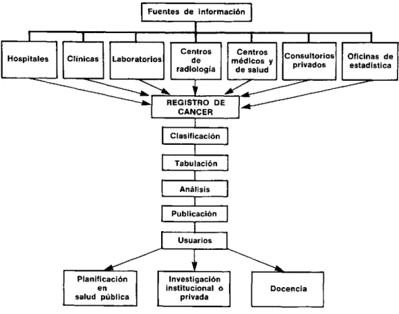 Figura 1.  Circulación  de  la  información  de  los  registros  de cáncer.