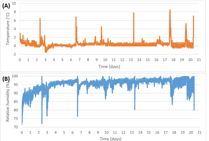 Figure 1: Evaluation of conservation parameters in the producer conservation chamber (A)  Temperature, (B) Relative humidity 