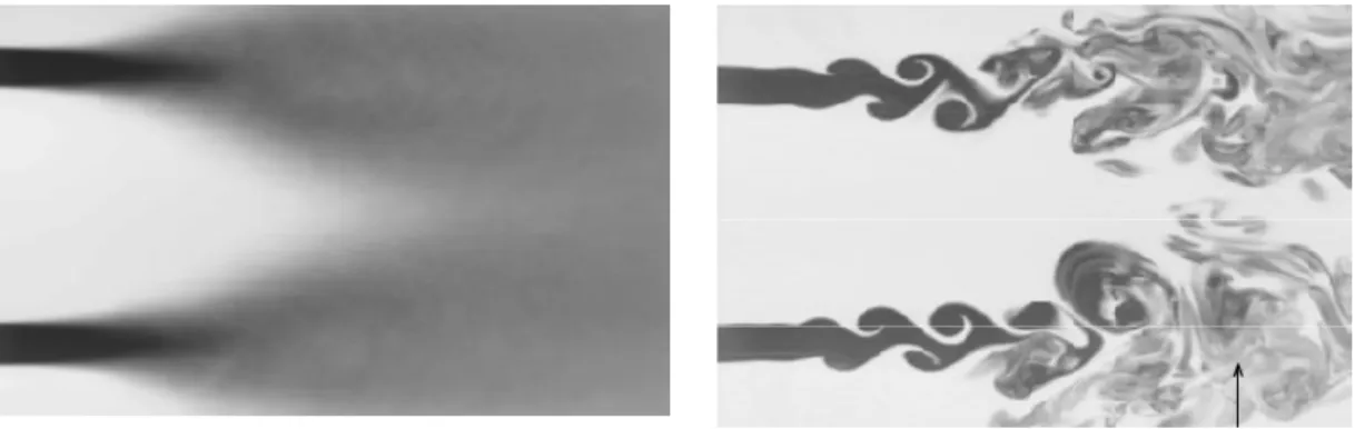 Fig. 2 Mean Field Concentration (λ λ λ λ=2) and instantaneous picture of the flow (λ λ λ λ=3) [27]
