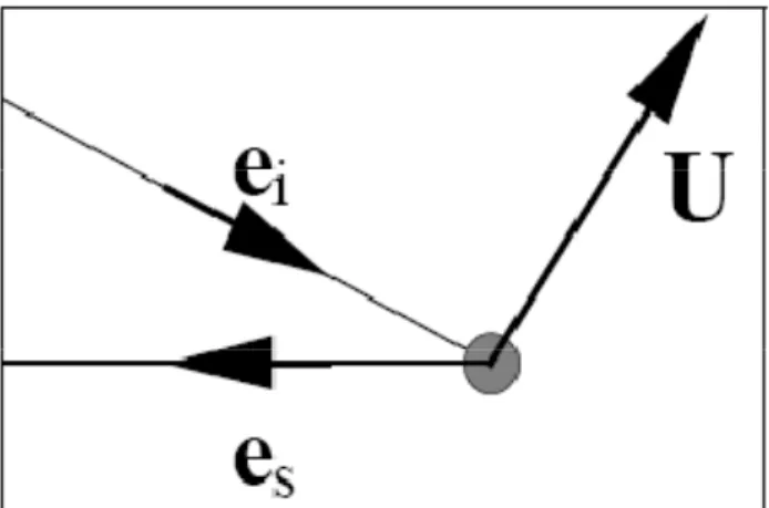 Fig. 9 Light Scatter from a moving seeding particle 