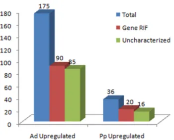 Fig. 3. Graphic view of the fold change of known genes found to be differentially upregulated and downregulated in the AVE, and reference genes