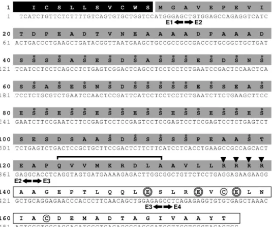 FIGURE 3. Osteocalcin sequences used in this study and taxonomy of represented species
