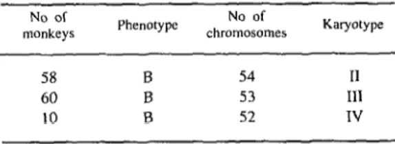 Table  1. Phenotype,  chromosome  counts,  and  karyotypes  of  128  of  the  Aotus  monkeys  in  the  three  lots  captured 