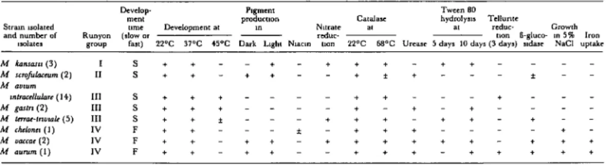 Table  2.  Test  criteria  uacd  to  identify  the  30  strains  of  mycobacteria  k&amp;ted  from  the  lymph  nodes  of  250  apparently  normal  swine