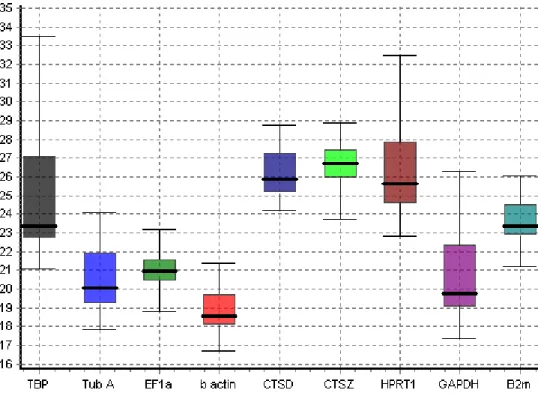 Figure  14  -  Overall  expression  representation  of  the  candidate  reference  genes  in  oocytes