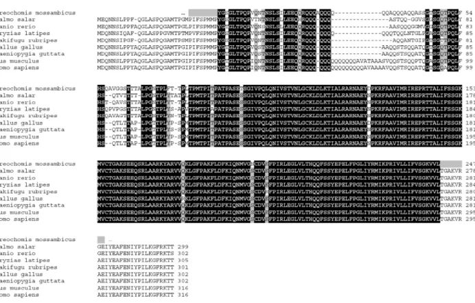Figure  A7  -  Multisequence  alignment  of  TATA  box  binding  proteins.    Species  used  were: 