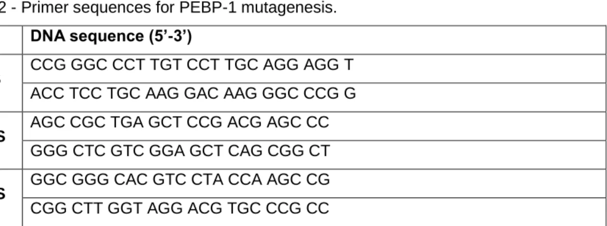 Table 2.2 - Primer sequences for PEBP-1 mutagenesis.  