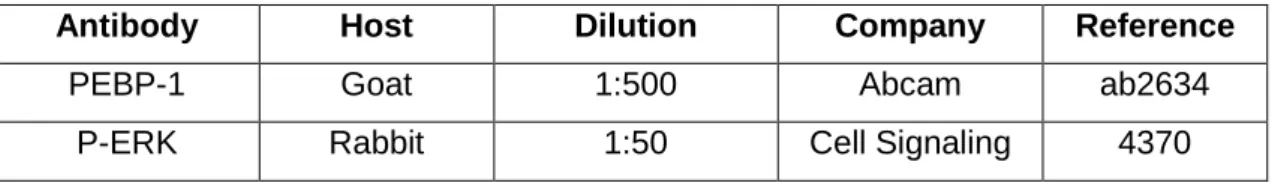 Table 2.3 - Primary antibodies used in immunocytochemistry 
