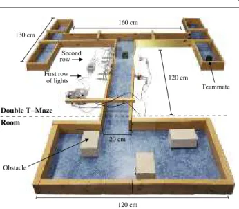 Fig. 3 The environment is composed of a room with ob- ob-stacles and a double T-maze. The room is rectangular with varying side lengths