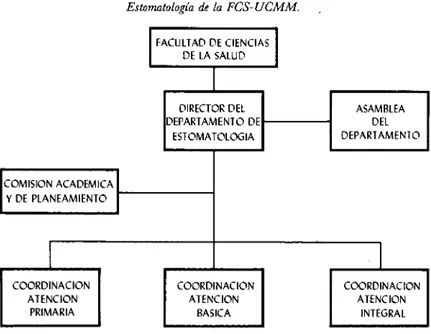 Figura 2. Organigrama del modelo docente-administrativo del Departamento de  Estomatología de la FCS-UCMM