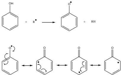 Figura 5 – Eliminação de radicais livres pelos compostos fenólicos (Adaptado de Gonçalves, 2006)