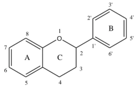 Figura 6 – Estrutura básica de um flavonóide monomérico (Adaptado de Balasundram, 2006)