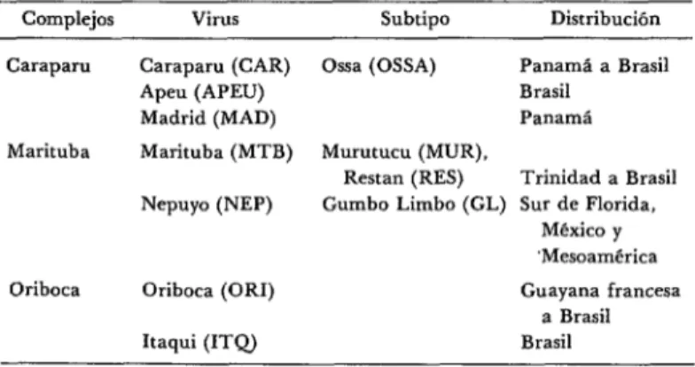 CUADRO  l-Clasificación  de  los  bunyavirus  del  grupo  C.a 