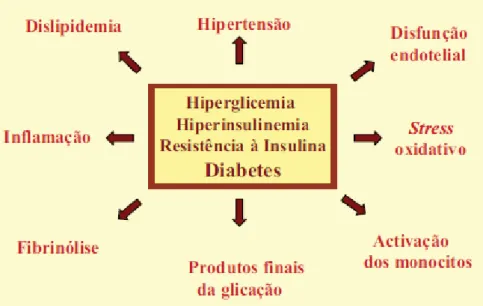 Fig. 3: Mecanismos fisiopatológicos sugeridos para as complicações  cardiovasculares nos doentes diabéticos