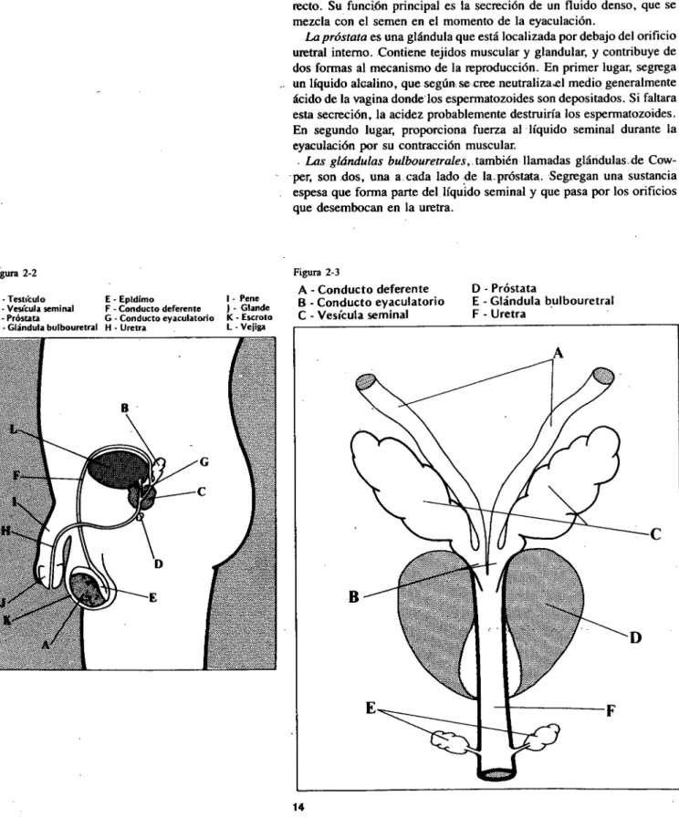 Figura 2-2 Figura 2-3 
