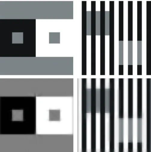 Figure 2: Top: two examples of brightness induction, simultaneous brightness con- con-trast (left) and assimilation (right)