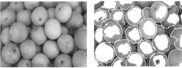Figure 11: Watershed segmentation with markers: a)left; original grey-scale image b) right;Segmentation using  background and foreground markers