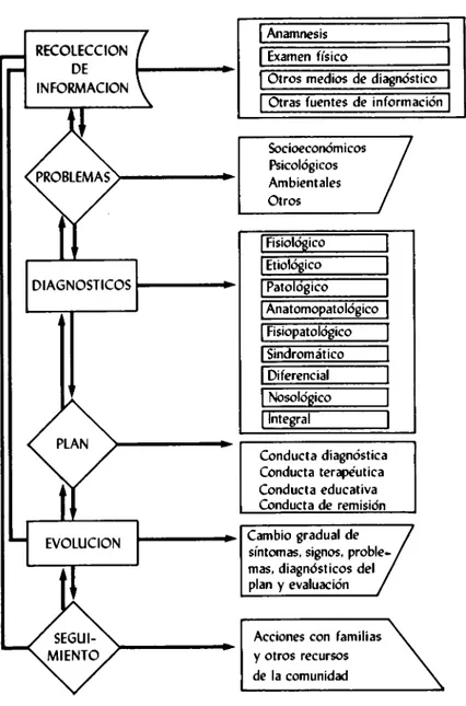 Figura 1. Esquema de la historia de salud.  RECOLECCIÓN DE INFORMACIÓN DIAGNÓSTICOS ■ - EVOLUCIÓN | Anamnesis | | Examen físico | Otros medios de diagnóstico 