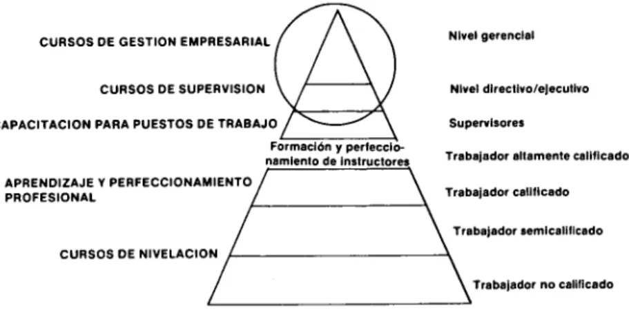 Figura 3. Niveles ocupacionales y programas del SENA TI. 